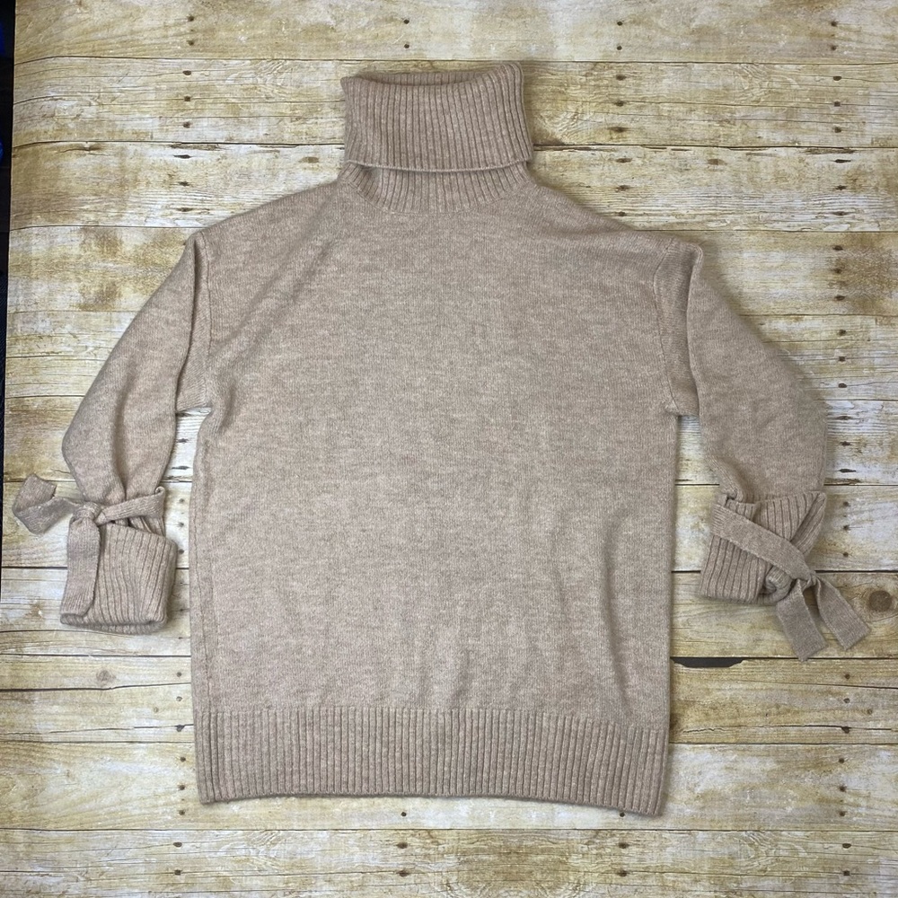 NWOT Zara Knit turtle neck